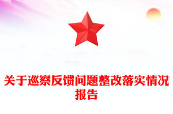 關于巡察反饋問題整改落實情況報告