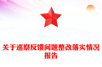 關(guān)于巡察反饋問題整改落實情況報告