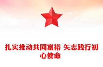 扎實(shí)推動(dòng)共同富裕 矢志踐行初心使命 