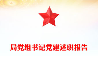 局黨組書記黨建述職報告