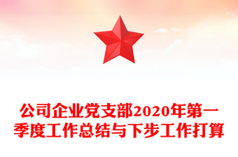 公司企業(yè)黨支部2020年第一季度工作總結與下步工作打算