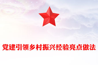 黨建引領(lǐng)鄉(xiāng)村振興經(jīng)驗亮點做法