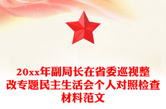 20xx年副局長在省委巡視整改專題民主生活會個人對照檢查材料范文