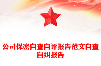 公司保密自查自評報告范文自查自糾報告