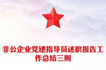 非公企業(yè)黨建指導員述職報告工作總結三則