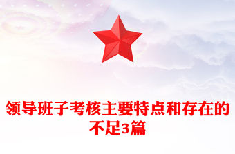 領(lǐng)導(dǎo)班子考核主要特點和存在的不足3篇