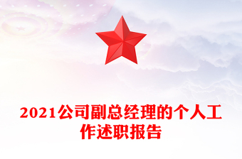 2021公司副總經(jīng)理的個人工作述職報告