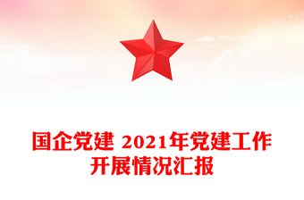 國企黨建 2021年黨建工作開展情況匯報(bào)