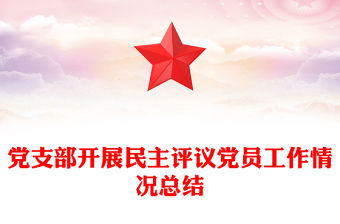 黨支部開展民主評議黨員工作情況總結