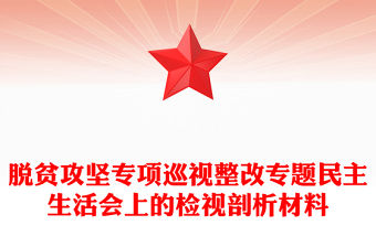 脫貧攻堅專項巡視整改專題民主生活會上的檢視剖析材料