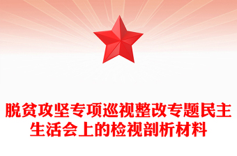 脫貧攻堅(jiān)專項(xiàng)巡視整改專題民主生活會(huì)上的檢視剖析材料