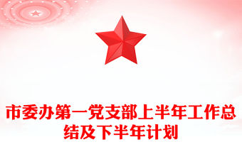 市委辦第一黨支部上半年工作總結及下半年計劃