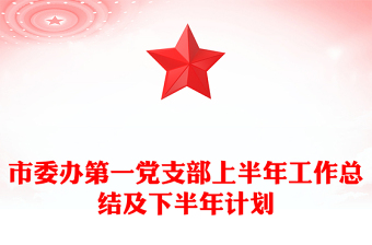 市委辦第一黨支部上半年工作總結及下半年計劃