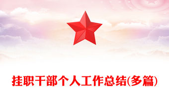 掛職干部個人工作總結(多篇)