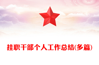 掛職干部個(gè)人工作總結(jié)(多篇)