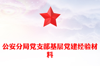 公安分局黨支部基層黨建經(jīng)驗(yàn)材料