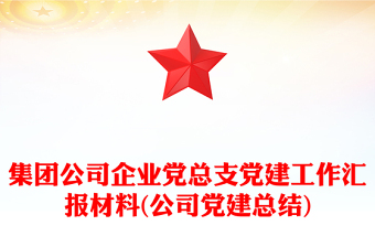 集團(tuán)公司企業(yè)黨總支黨建工作匯報(bào)材料(公司黨建總結(jié))
