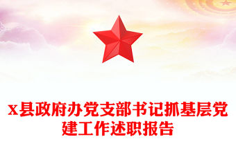 X縣政府辦黨支部書記抓基層黨建工作述職報告
