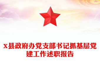 X縣政府辦黨支部書記抓基層黨建工作述職報(bào)告