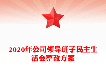 2020年公司領(lǐng)導(dǎo)班子民主生活會整改方案