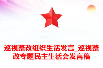 巡視整改組織生活發言_巡視整改專題民主生活會發言稿