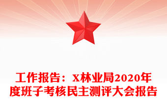 工作報告：X林業局2020年度班子考核民主測評大會報告