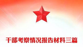 干部考察情況報告材料三篇