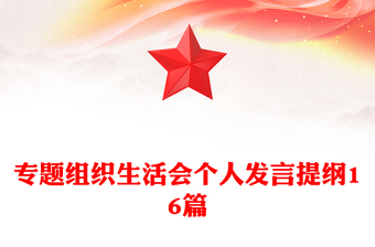 專題組織生活會(huì)個(gè)人發(fā)言提綱16篇