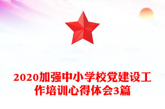 2020加強中小學(xué)校黨建設(shè)工作培訓(xùn)心得體會3篇