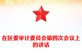 在區委審計委員會第四次會議上的講話