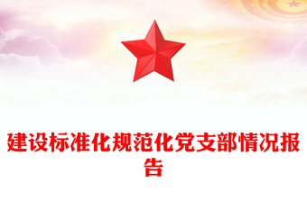 建設標準化規(guī)范化黨支部情況報告