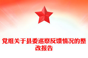 黨組關于縣委巡察反饋情況的整改報告