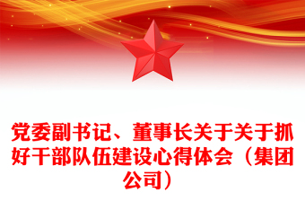 黨委副書記、董事長(zhǎng)關(guān)于關(guān)于抓好干部隊(duì)伍建設(shè)心得體會(huì)（集團(tuán)公司）