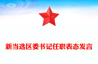 新當選區委書記任職表態發言