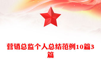 營銷總監個人總結范例10篇3篇