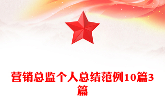 營(yíng)銷總監(jiān)個(gè)人總結(jié)范例10篇3篇