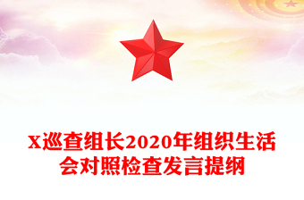 X巡查組長(zhǎng)2020年組織生活會(huì)對(duì)照檢查發(fā)言提綱