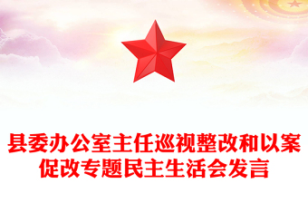 縣委辦公室主任巡視整改和以案促改專題民主生活會發(fā)言