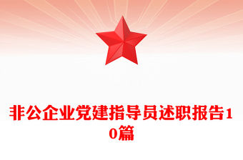 非公企業黨建指導員述職報告10篇