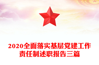 2020全面落實(shí)基層黨建工作責(zé)任制述職報告三篇