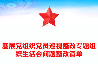 基層黨組織黨員巡視整改專題組織生活會問題整改清單