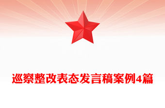 巡察整改表態發言稿案例4篇