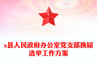 x縣人民政府辦公室黨支部換屆選舉工作方案