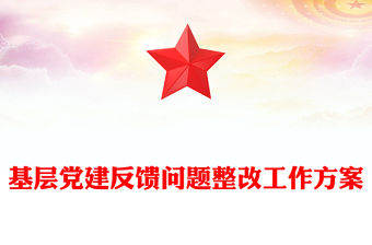 基層黨建反饋問(wèn)題整改工作方案
