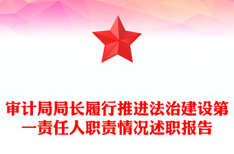審計局局長履行推進法治建設第一責任人職責情況述職報告