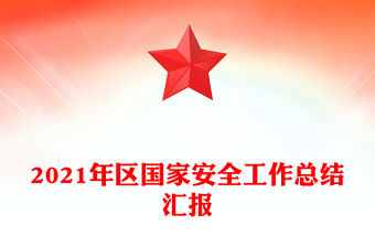 2021年區國家安全工作總結匯報