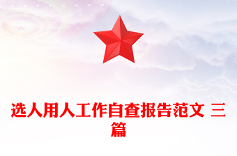 選人用人工作自查報告范文 三篇