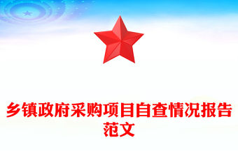 鄉鎮政府采購項目自查情況報告范文