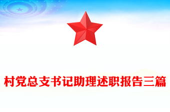村黨總支書記助理述職報告三篇
