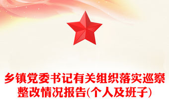 鄉鎮黨委書記有關組織落實巡察整改情況報告(個人及班子)